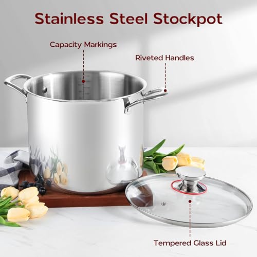 18/10 Stainless Steel 8 Quart Stock Pot with Lid Tri-Ply Induction Pot G9294