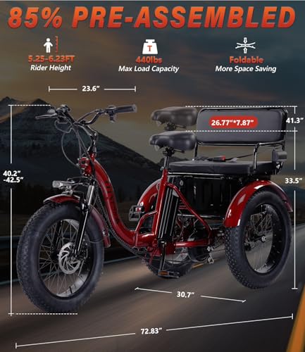 Adult Electric Tricycle 3 Wheel Bike Y514