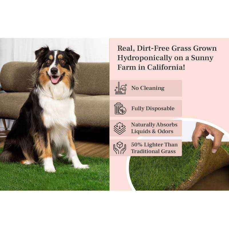 Real Grass Dog Potty R671517