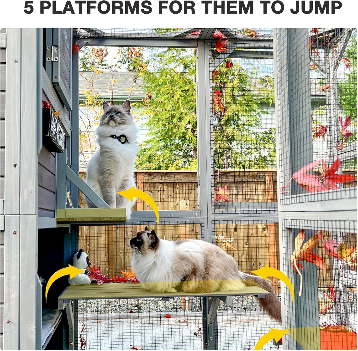 Large Cat House with 4 Levels, 77" L Y565