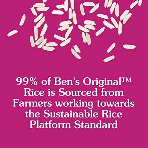8.8 OZ Pouch Pack of 12 Whole Grain Brown Rice V1681