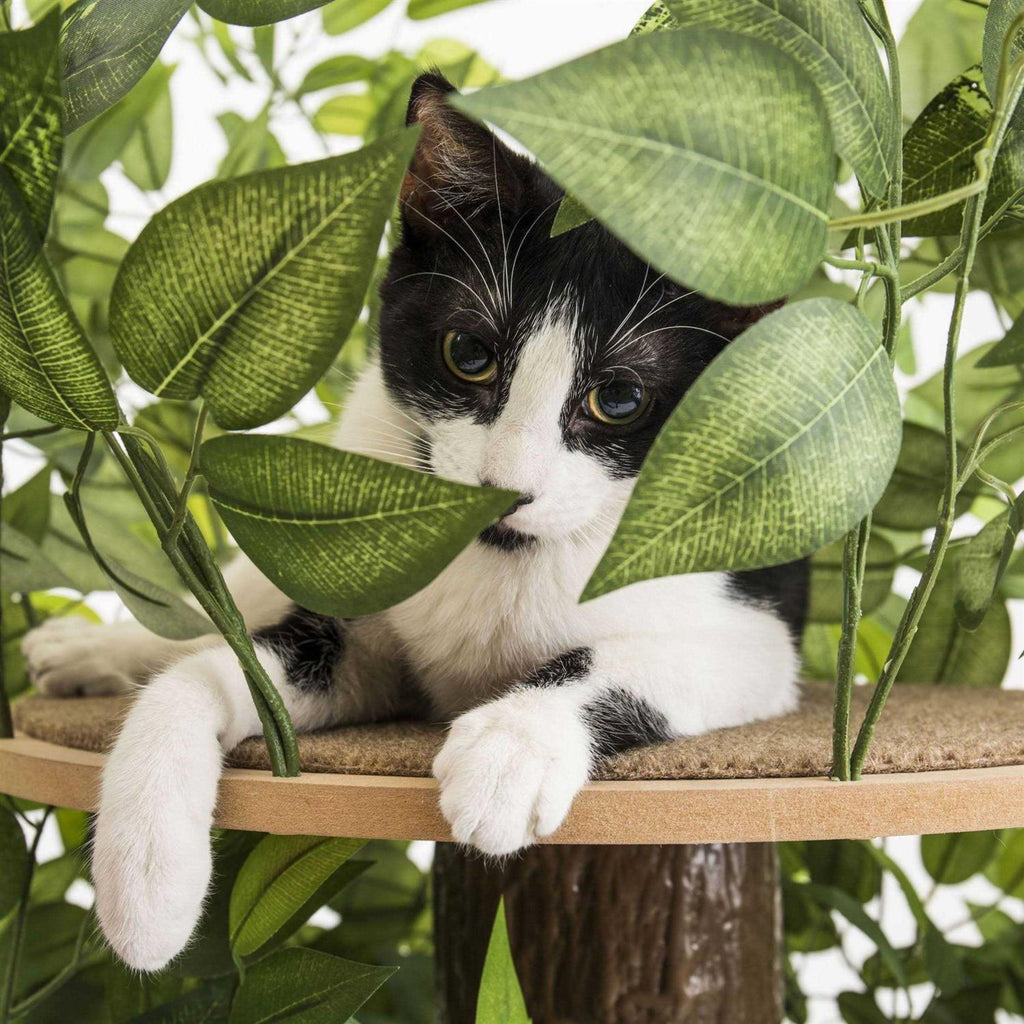 4ft Cat Activity Tree Cat Tower V4922