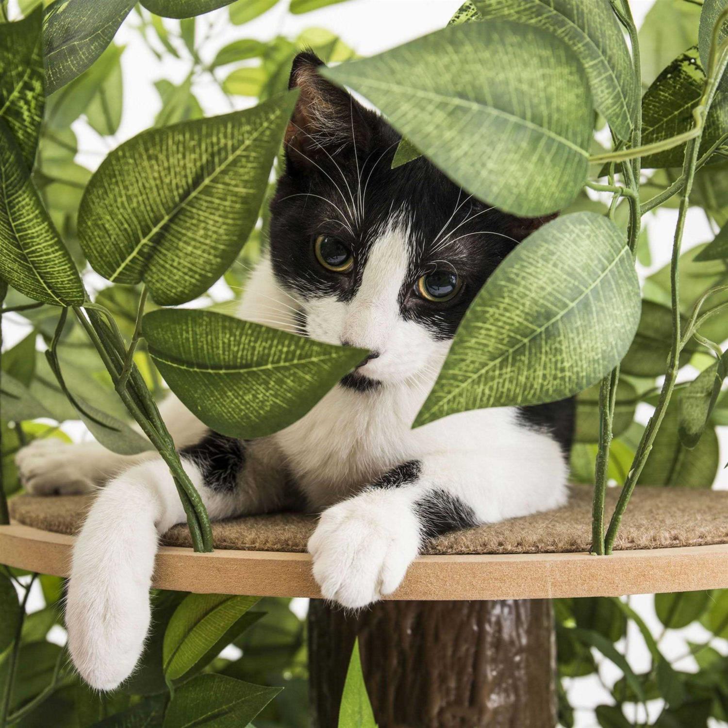 4ft Cat Activity Tree Cat Tower V4922