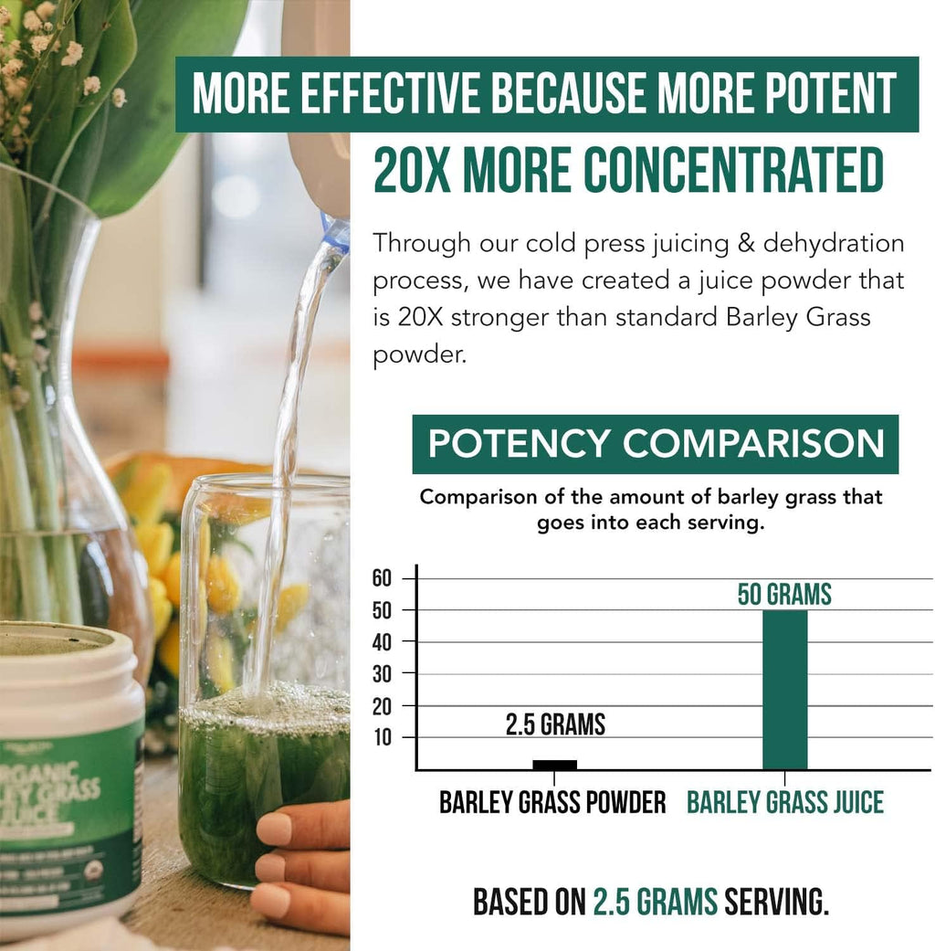 Organic Barley Grass Juice Powder, Cold-Pressed, CO2 Dried, Gluten Free, Vegan, 5.3 oz R457543