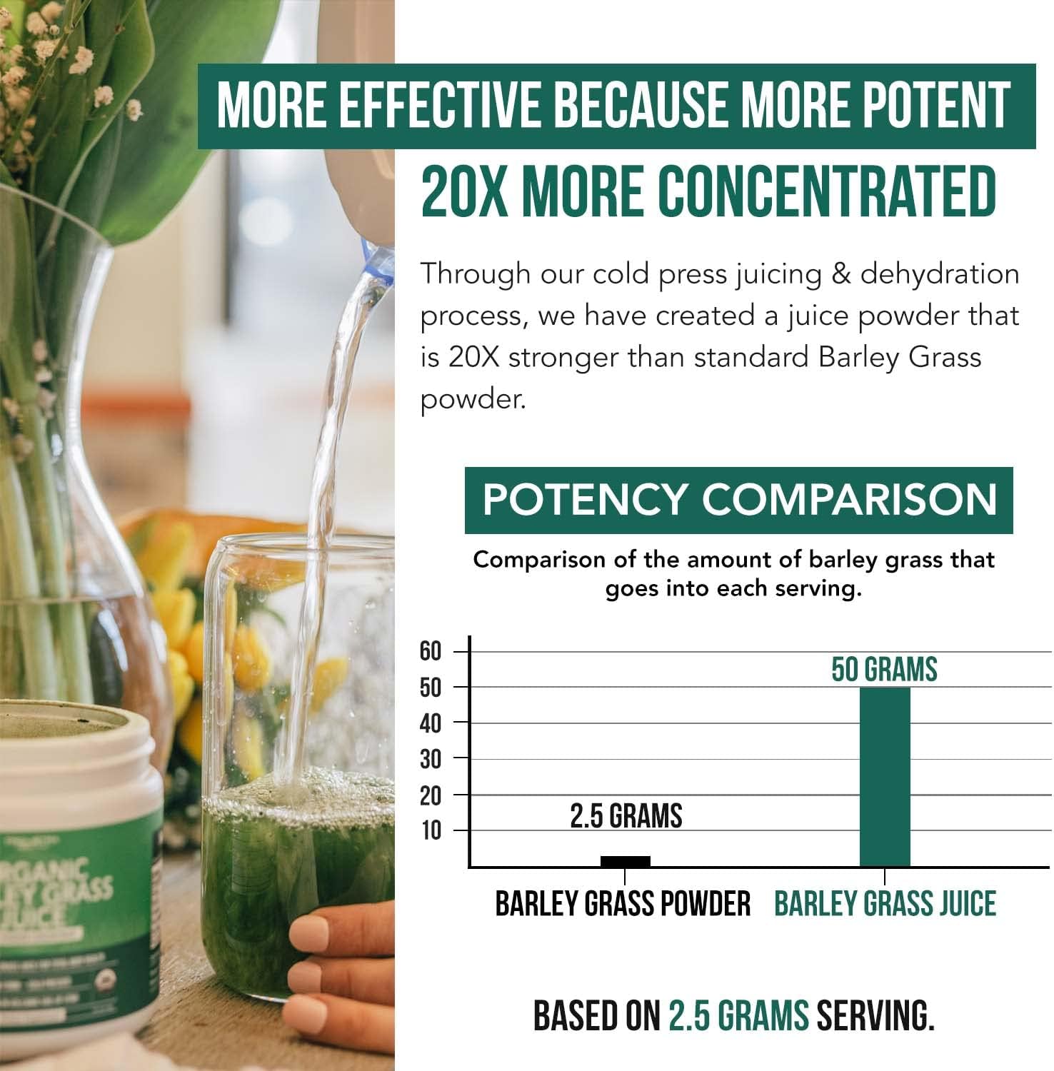 Organic Barley Grass Juice Powder, Cold-Pressed, CO2 Dried, Gluten Free, Vegan, 5.3 oz R457543