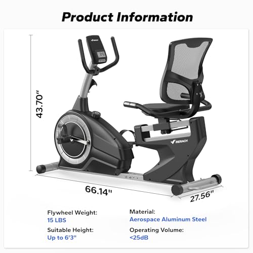 Magnetic Recumbent Exercise Bike with Bluetooth T624011