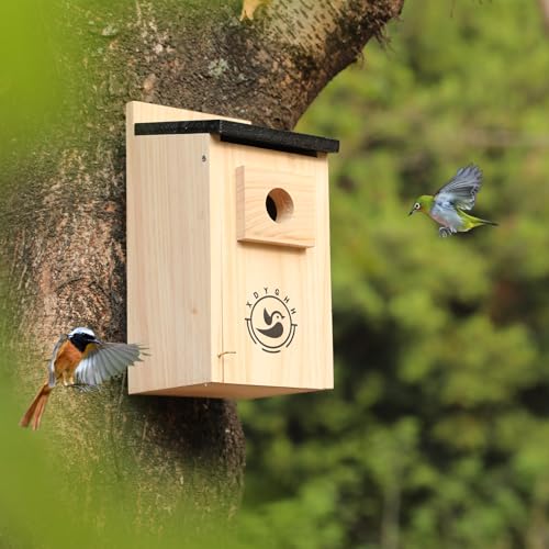 2 Pack Bird Houses N944