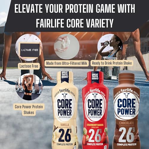 Chocolate Protein Milk Shakes, 14 Fl Oz (Pack of 12) and Key Chain B1668