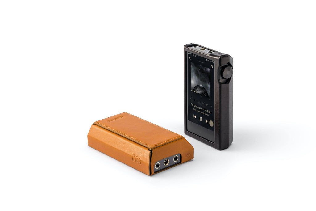 Brown Leather Case D99433