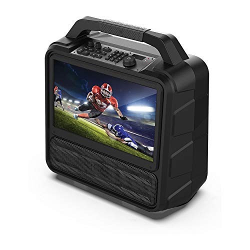 15.6” Full HD Screen Portable Entertainment System H494