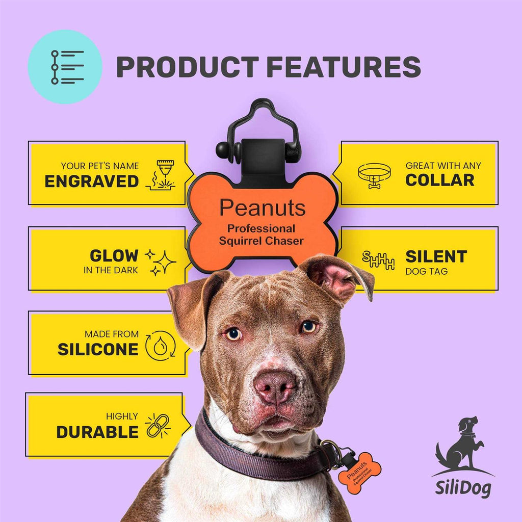 Personalized Silicone Pet ID Tag R929