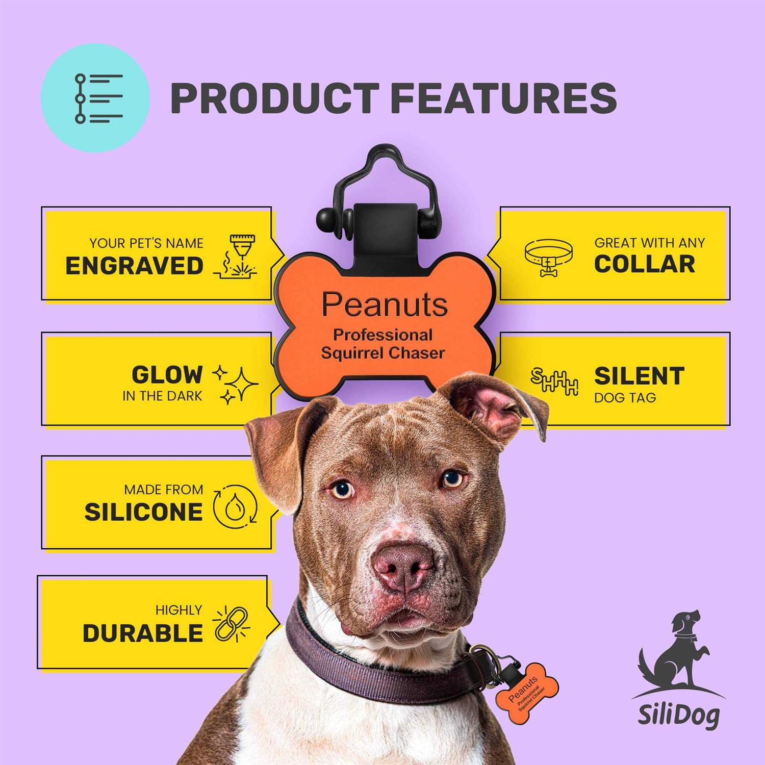 Personalized Silicone Pet ID Tag R929
