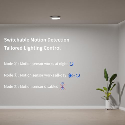 Wireless Battery Powered Rechargeable Ceiling Light with Remote G760