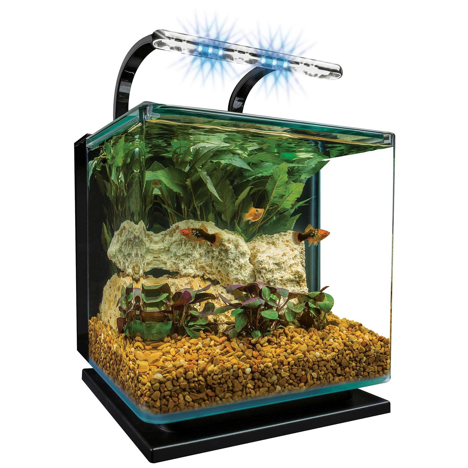 5 Gallon Kit T26700