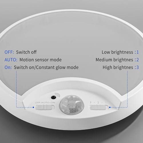 Wireless Battery Powered Rechargeable Ceiling Light with Remote G760