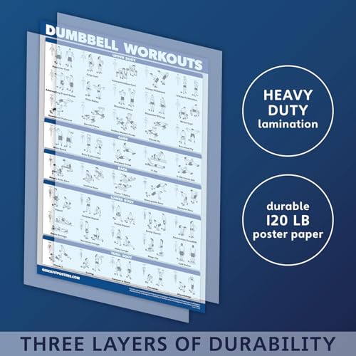 LAMINATED 18" x 24" Dumbbell Workout Poster J379