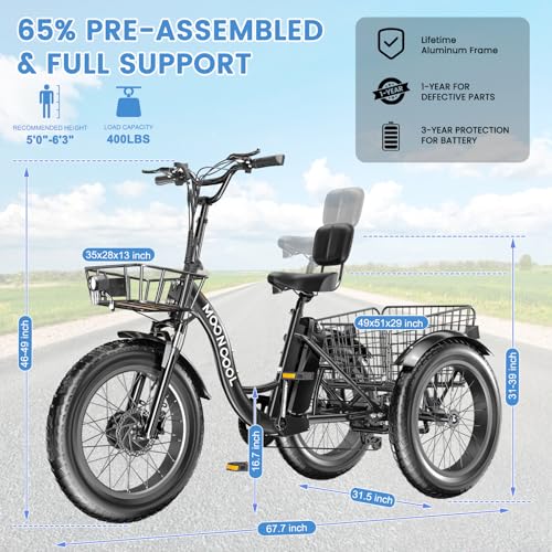Electric Tricycle 350W 36V Removable Battery 7 Speeds 3 Wheels Q520