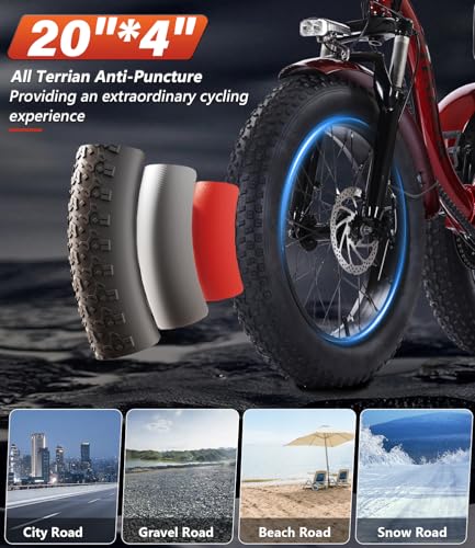 Adult Electric Tricycle 3 Wheel Bike Y514