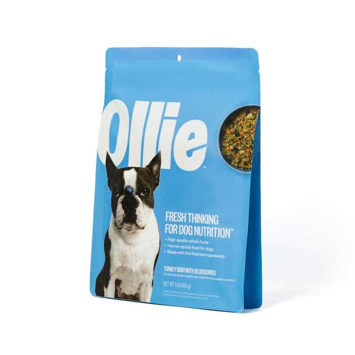 Turkey Dish with Blueberries Frozen Dog Food Z686