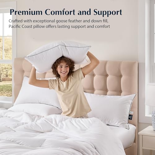 King Size 2 Pack Feather and Down Pillows A3639