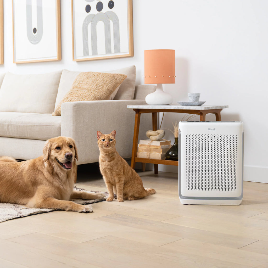 Air Purifier N10234