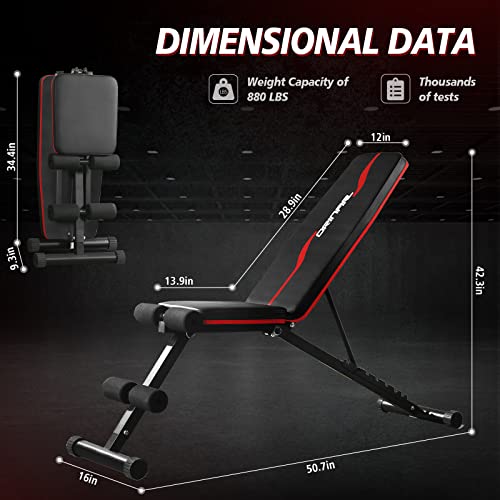 Adjustable Weight Bench W289
