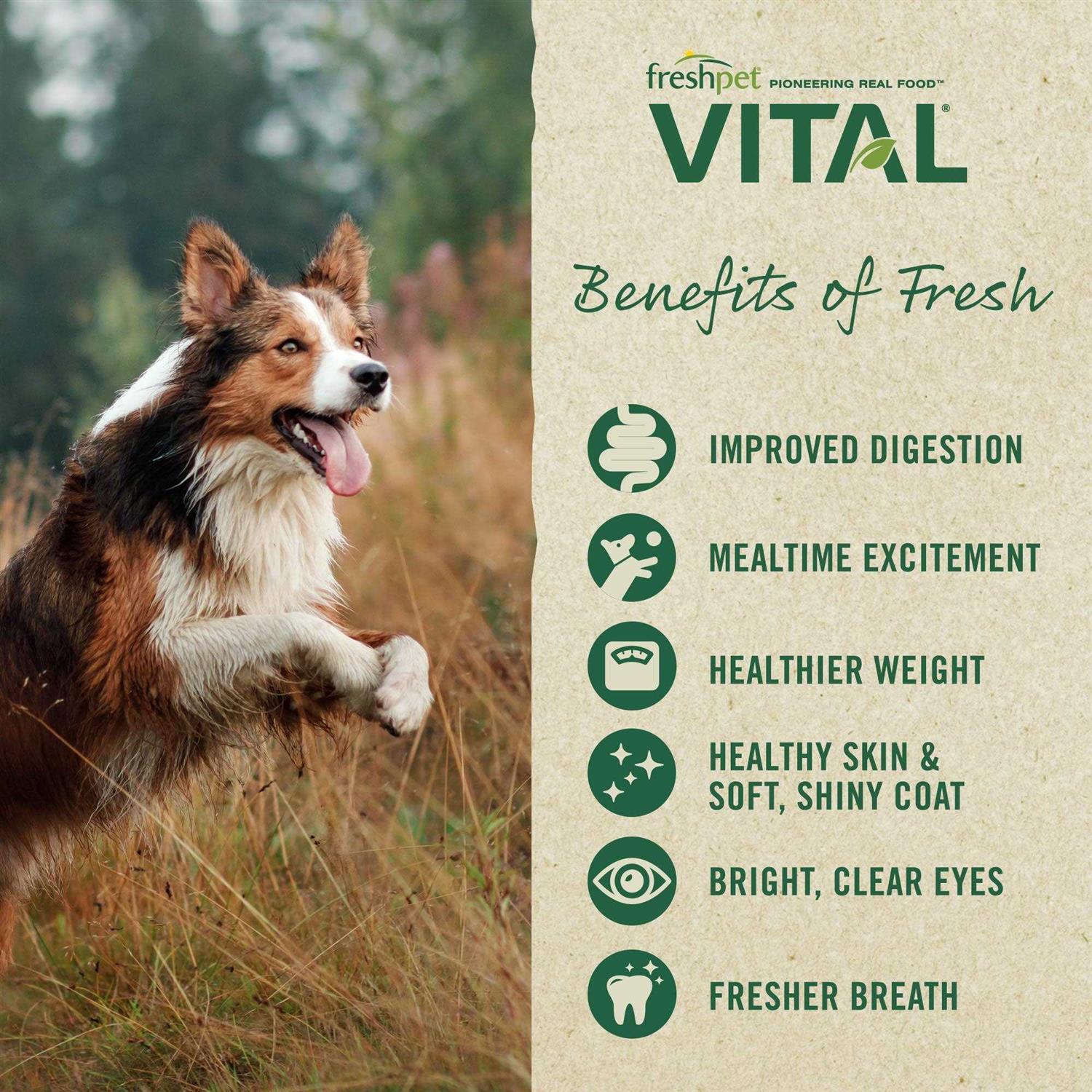 Grain Free Puppy Food C24631