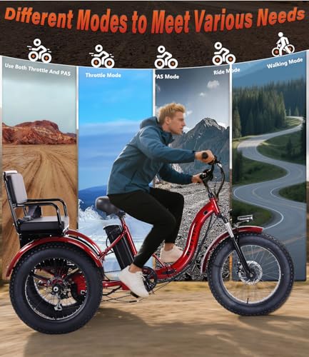Adult Electric Tricycle 3 Wheel Bike Y514