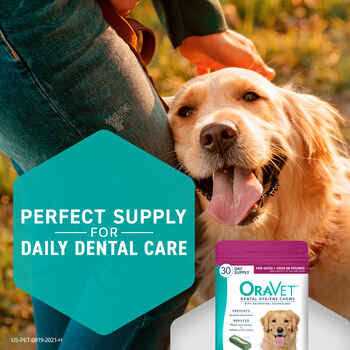 Dental Hygiene Chews for Dogs T27303