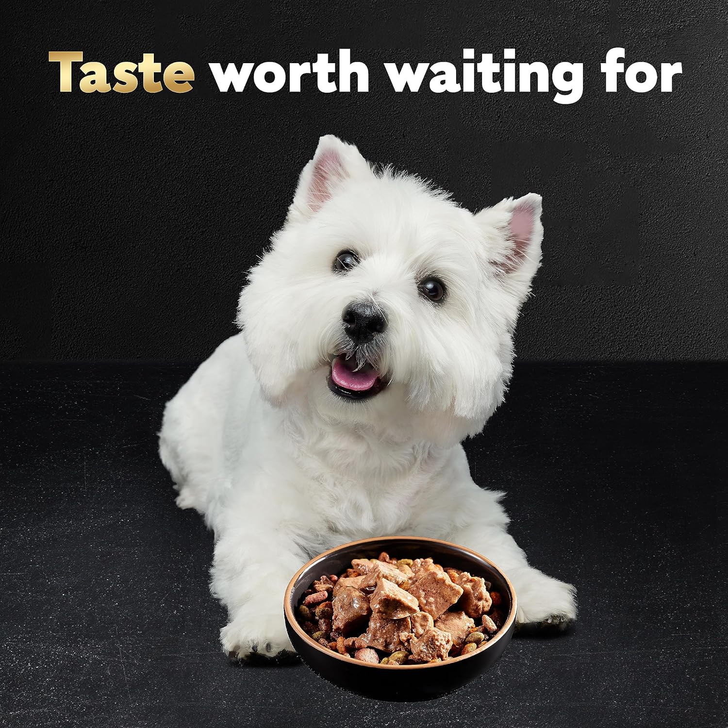 Soft Wet Dog Food Loaf in Sauce Variety Pack, 24 Trays, 3.5 oz K6264