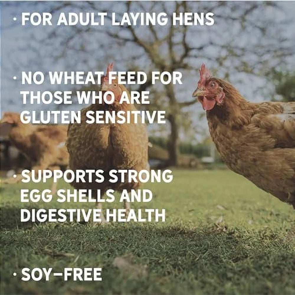25 lbs Certified Organic Chicken Feed V2923