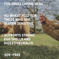 25 lbs Certified Organic Chicken Feed V2923