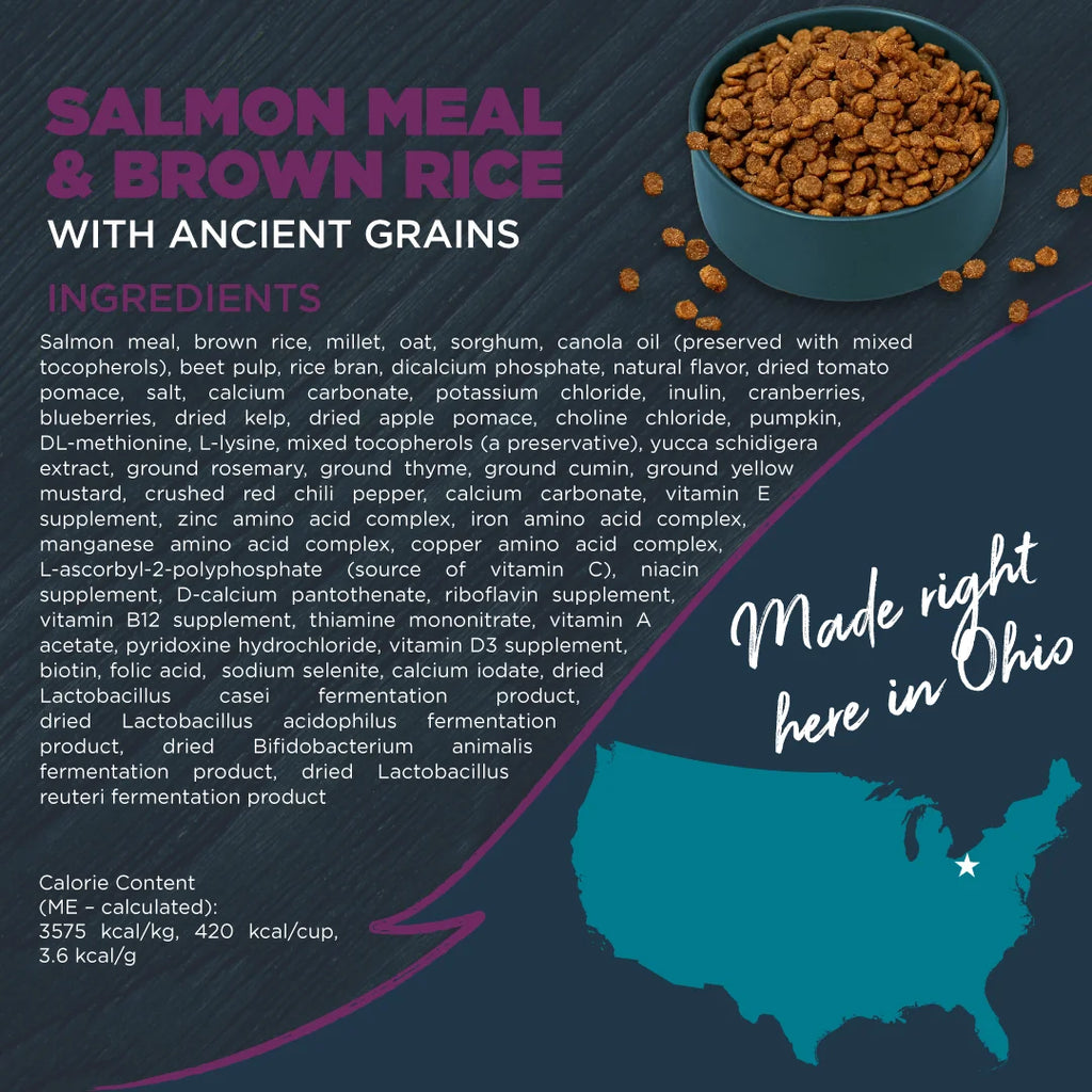 Blackwood Dry Dog Food Sensitive Skin & Stomach Salmon Meal with Ancient Grains 10 lb. A7783