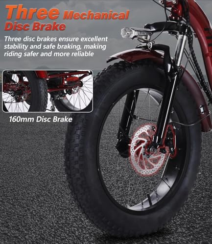 Adult Electric Tricycle 3 Wheel Bike Y514