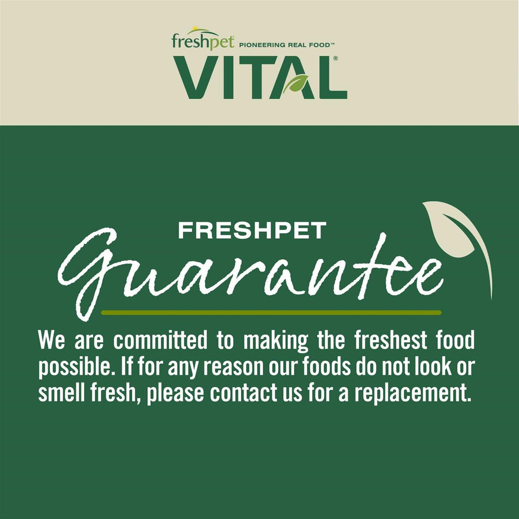 Grain Free Puppy Food C24631