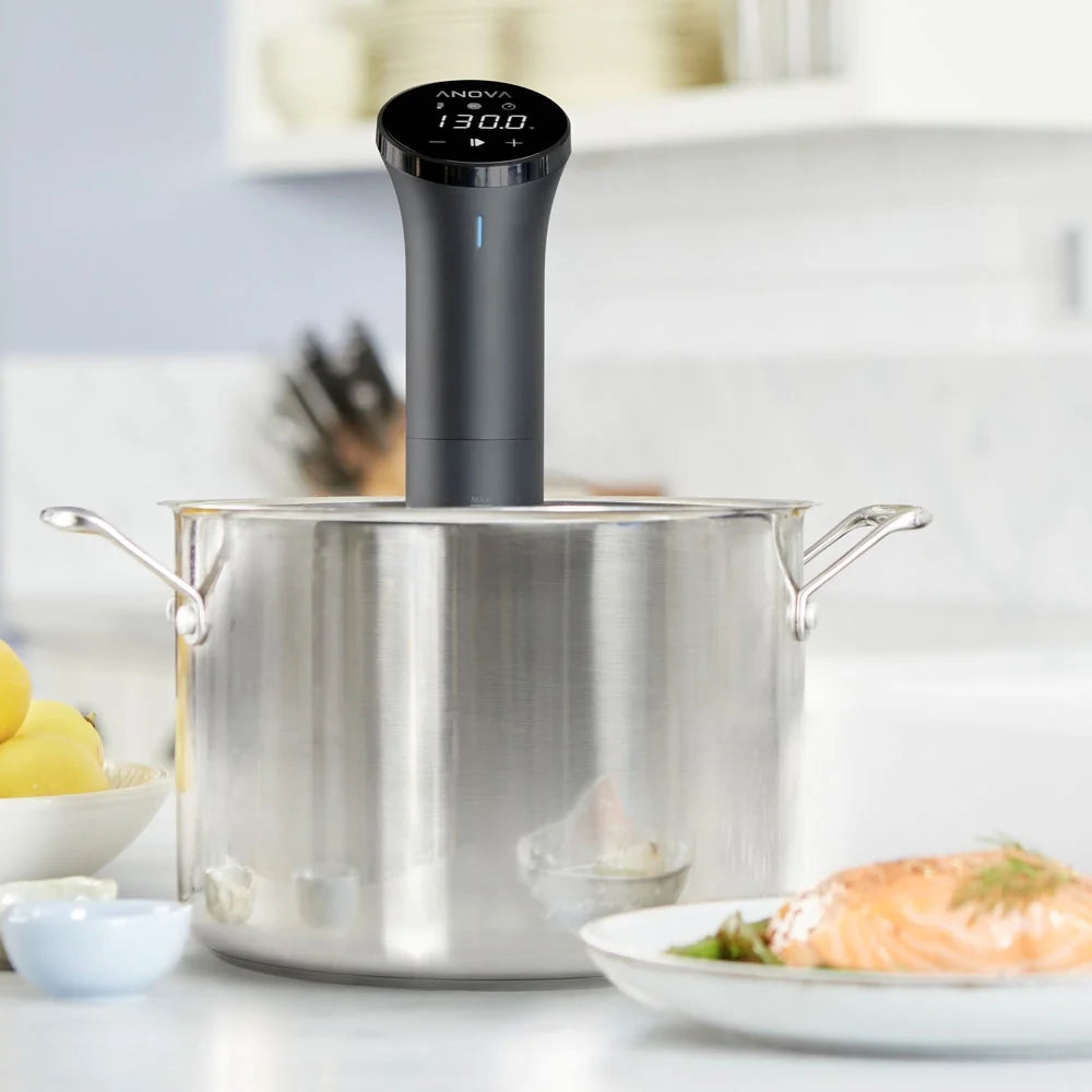 Sous Vide Precision Cooker 750W E493