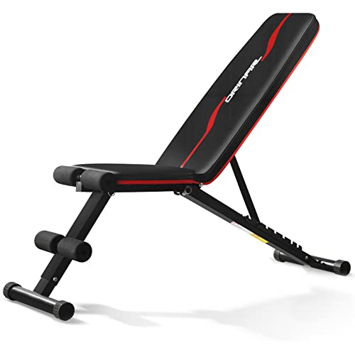 Adjustable Weight Bench W289