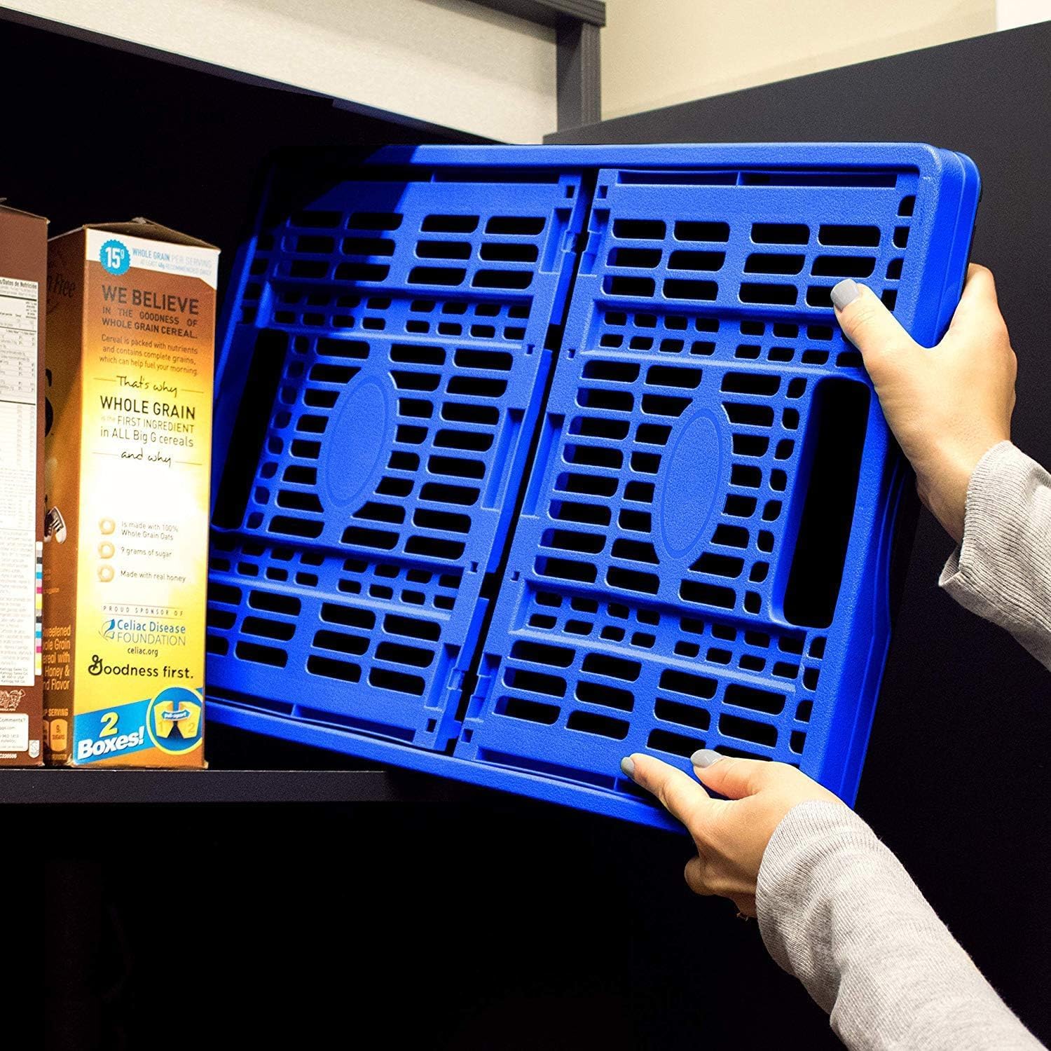 Royal Blue 3PK 45L Collapsible Plastic Storage Bins X711630