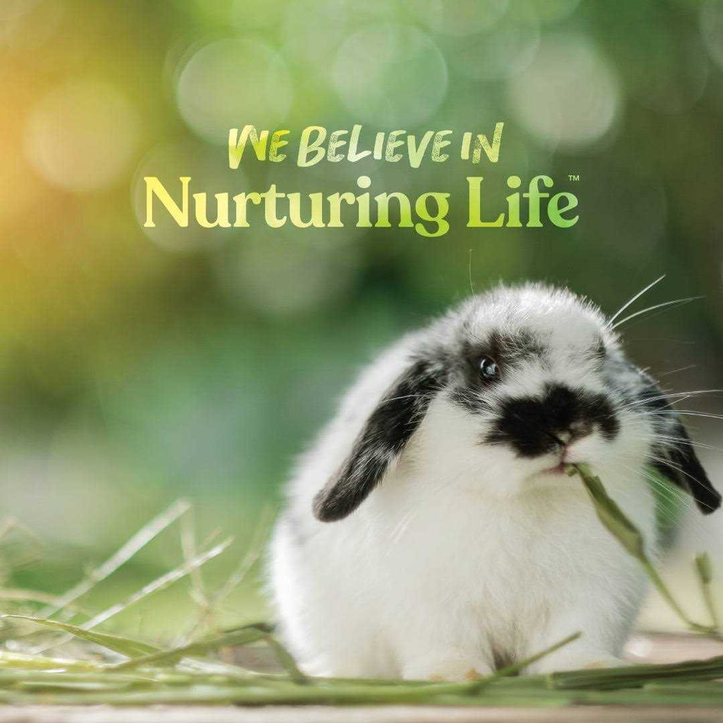 Complete Feed for Rabbit A278