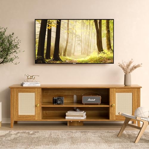 Rattan TV Stand with Storage N9410