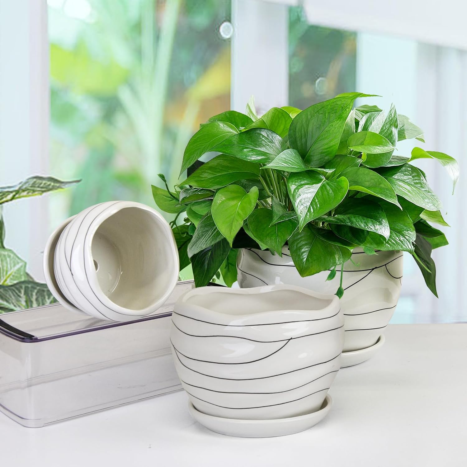 White Ceramic Planter Set, 3 Sizes S549