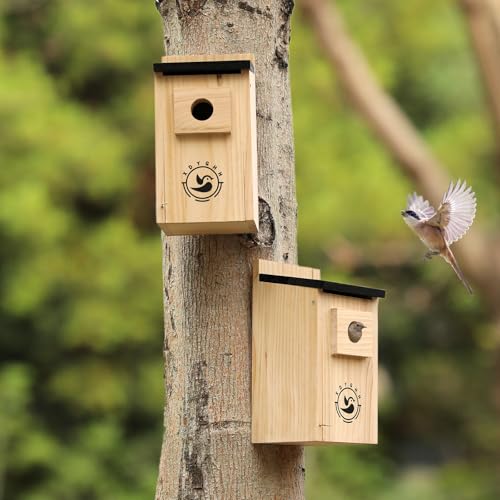 2 Pack Bird Houses N944