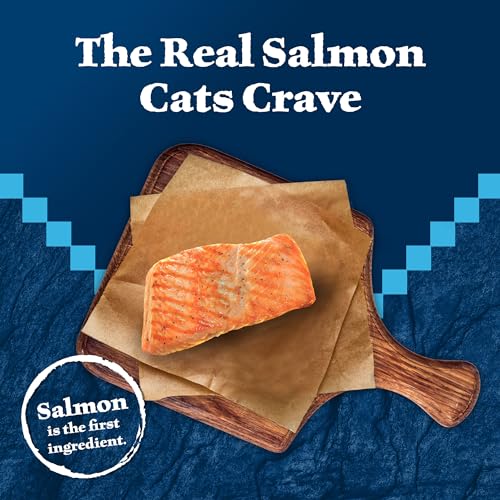 Salmon Paté Wet Cat Food, 3-oz. Cans, 24 Count U2945