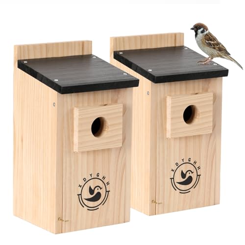 2 Pack Bird Houses N944