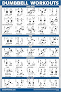 LAMINATED 18" x 24" Dumbbell Workout Poster J379