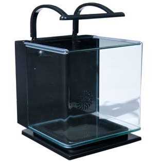 5 Gallon Kit T26700