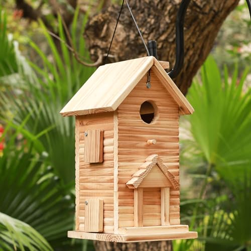 2 Hole Wooden Bird House O45255