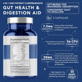 4-in-1 Prebiotic Probiotic & Postbiotic 60 capsules V1322