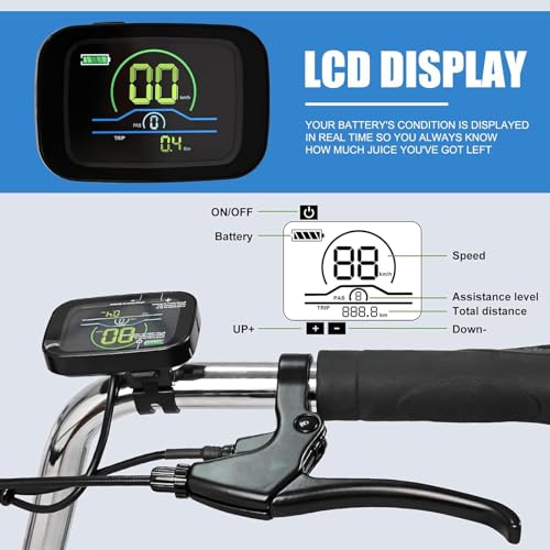 Electric Tricycle 350W 36V Removable Battery 7 Speeds 3 Wheels Q520
