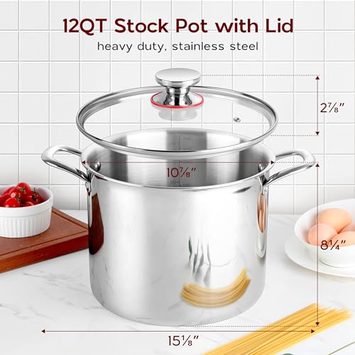 18/10 Stainless Steel 8 Quart Stock Pot with Lid Tri-Ply Induction Pot G9294